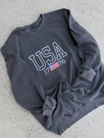 USA embroidered sweatshirt