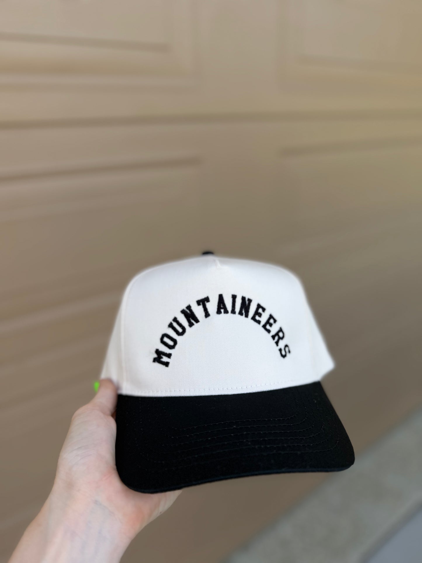 Mascot Hats